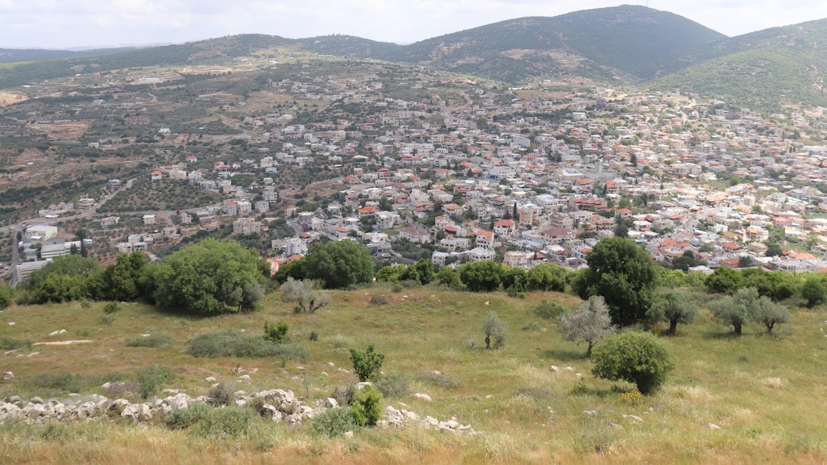 a view of a city from the top of a hill